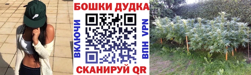 Купить наркотик Ижевск Псилоцибиновые грибы Конопля COCAIN Альфа ПВП